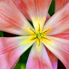 ip攻击器网页版ddos