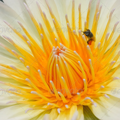 ddos在线攻击平台