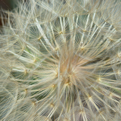 免费商用不违法的CC在线压力测试