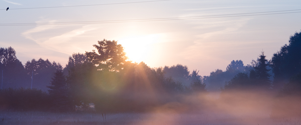 服务器攻击软件