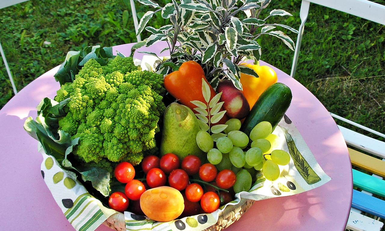 在线DDOS攻击平台