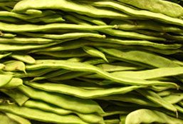 求购ip攻击器网页版ddos