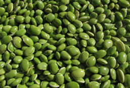 【新手入门版】零基础的ddos接单平台